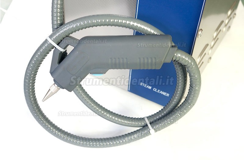 Pulitrice a vapore vapore ad alta temperatura e pressione per odontoiatrico DS300-4B 1400W